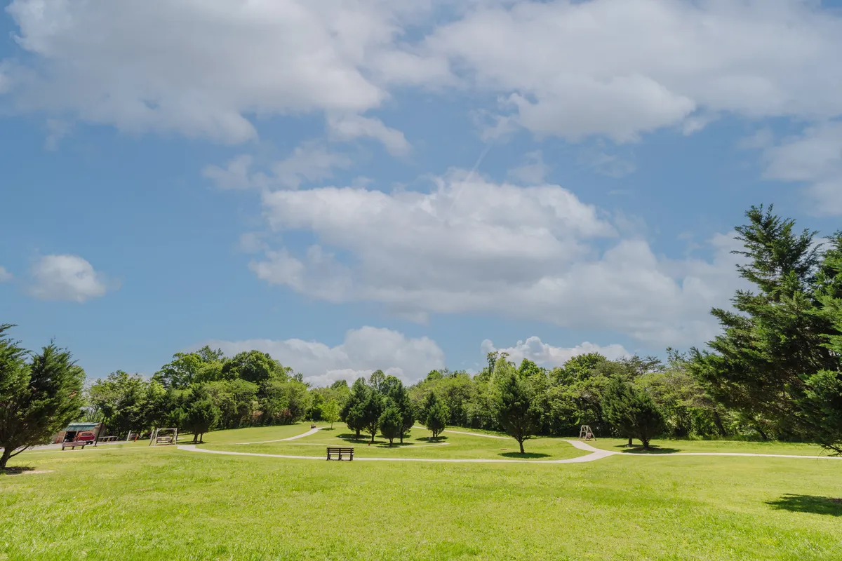 A sweeping vista of a green lawn dotted with scattered trees, winding walking paths, and benches positioned for observing the landscape. The scene is open and inviting, ideal for outdoor strolls, wildlife spotting, or peaceful reflection.