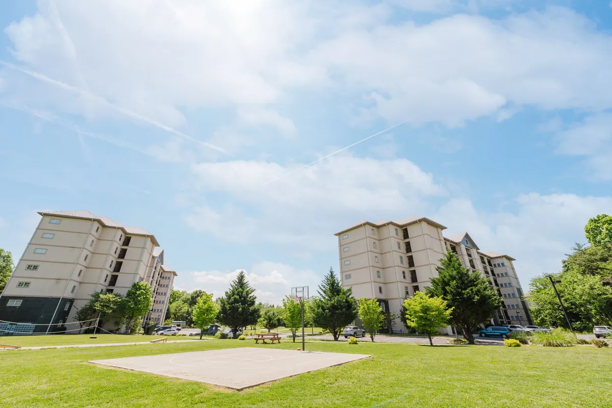An outdoor recreational space with residential buildings framing an open green area, a basketball court, and a picnic spot. The scene includes people engaging in basketball and picnicking, creating a lively, communal environment.