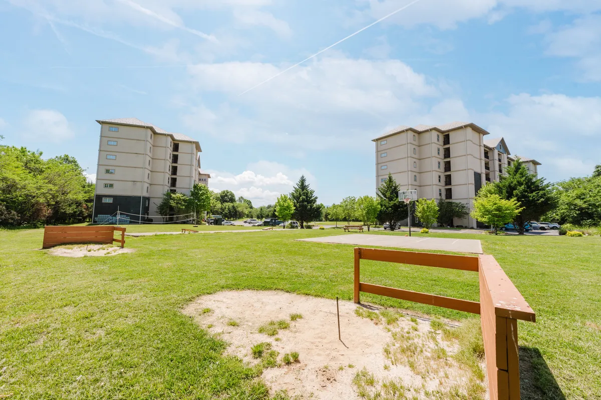 An outdoor park area featuring a basketball hoop, open green space, and building structures nearby. The lively, communal setting suggests group activities, outdoor games, and friendly gatherings.